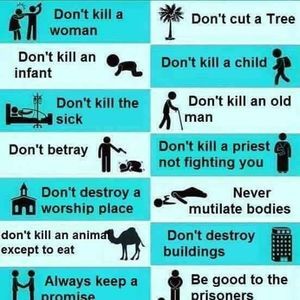 Meet your Posher, Illyas